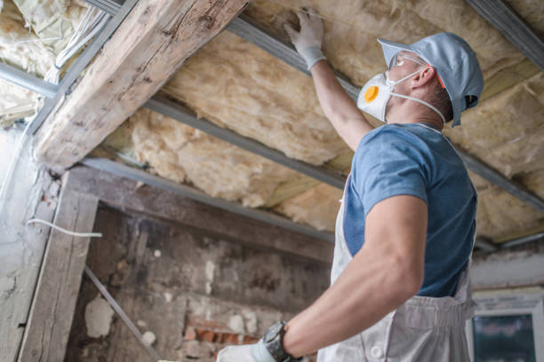 Best Commercial Insulation in Stanaford, WV