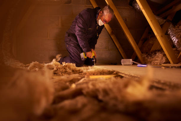 Best Insulation Maintenance and Repair in Stanaford, WV